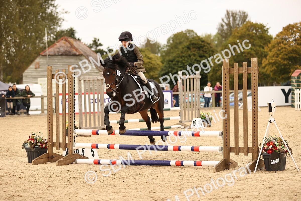 SBM_74208 - J14 - Junior Pony 65cm Championship