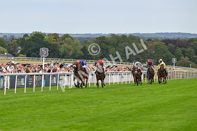 300826-Race 6-Court Legend-1504 - Race 6 4.30pm Return Of The Legend Martin Spencer Nursery Handicap