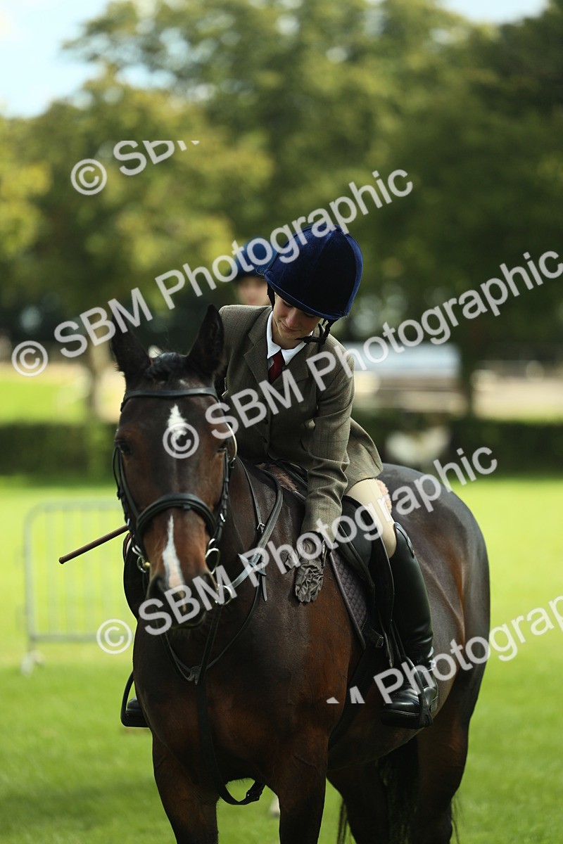 SBM_42154 - S29 - Novice & Newcomers Working Hunter Pony