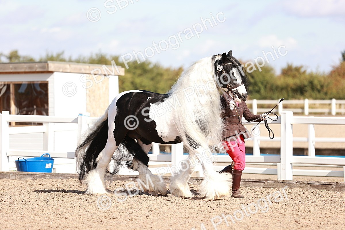 SBM_12570 - Class 404 - IH Traditional - Native Cob