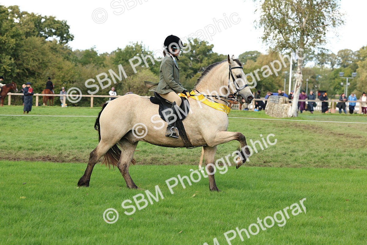 SBM_46339 - Working Hunter Pony Supreme Championship