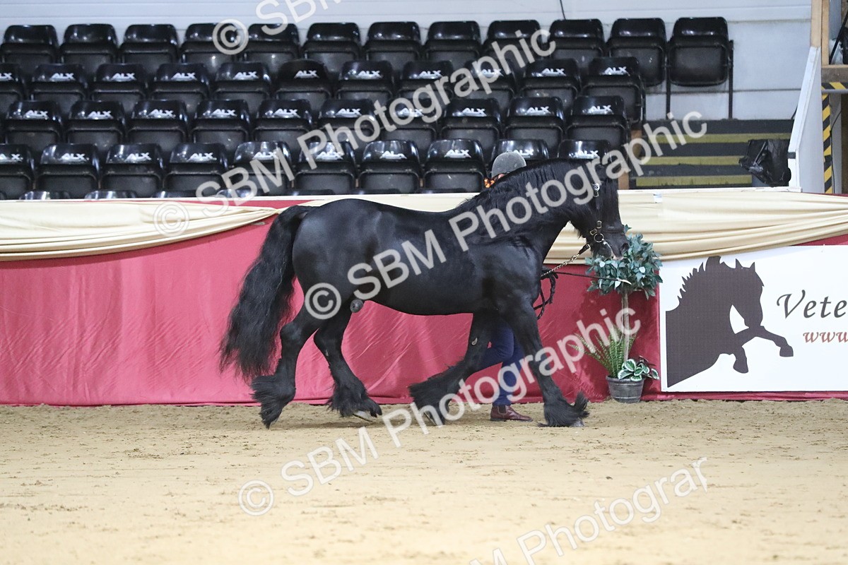 SBM_04993 - Class 8R- Regional -IH Veteran