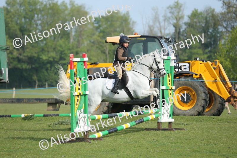 20260426-0127 - Class 13 - Rookie Jumping 50cm