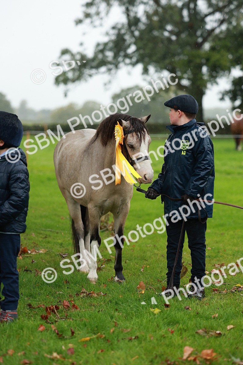 SBM_34944 - S10 - Best In Hand Horse & Pony