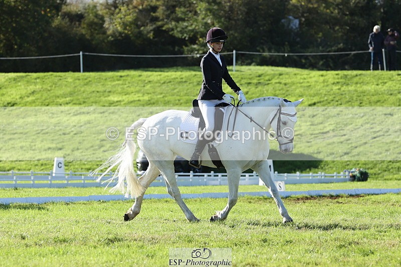 251024A-143938-14086 - F-479-Poppy.Wellman