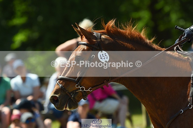 230527-143538-11210 - 455-HHS_DASSETT_CLASS-Kate_Rocher-Smith-SJ