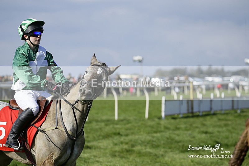 PtP 060322 67 - Blackmore & Sparkford Vale Hunt PtP 06/03/22