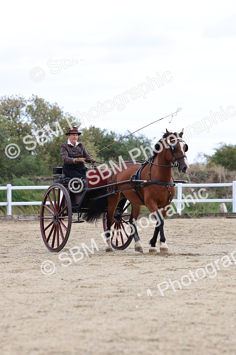SBM_000755 - Class 6 - Exercise Vehicle 13.2 and over