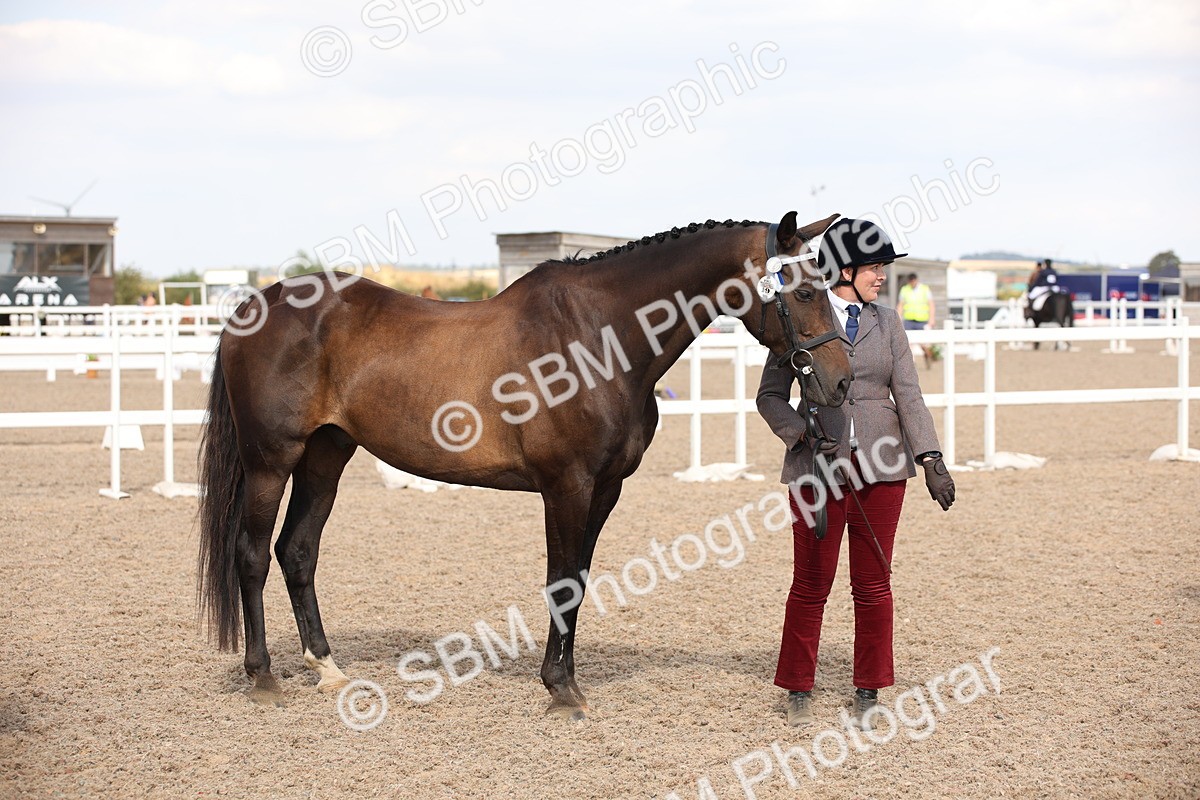 SBM_07072 - Class 25 IH Foreign Breeds- Pure bred