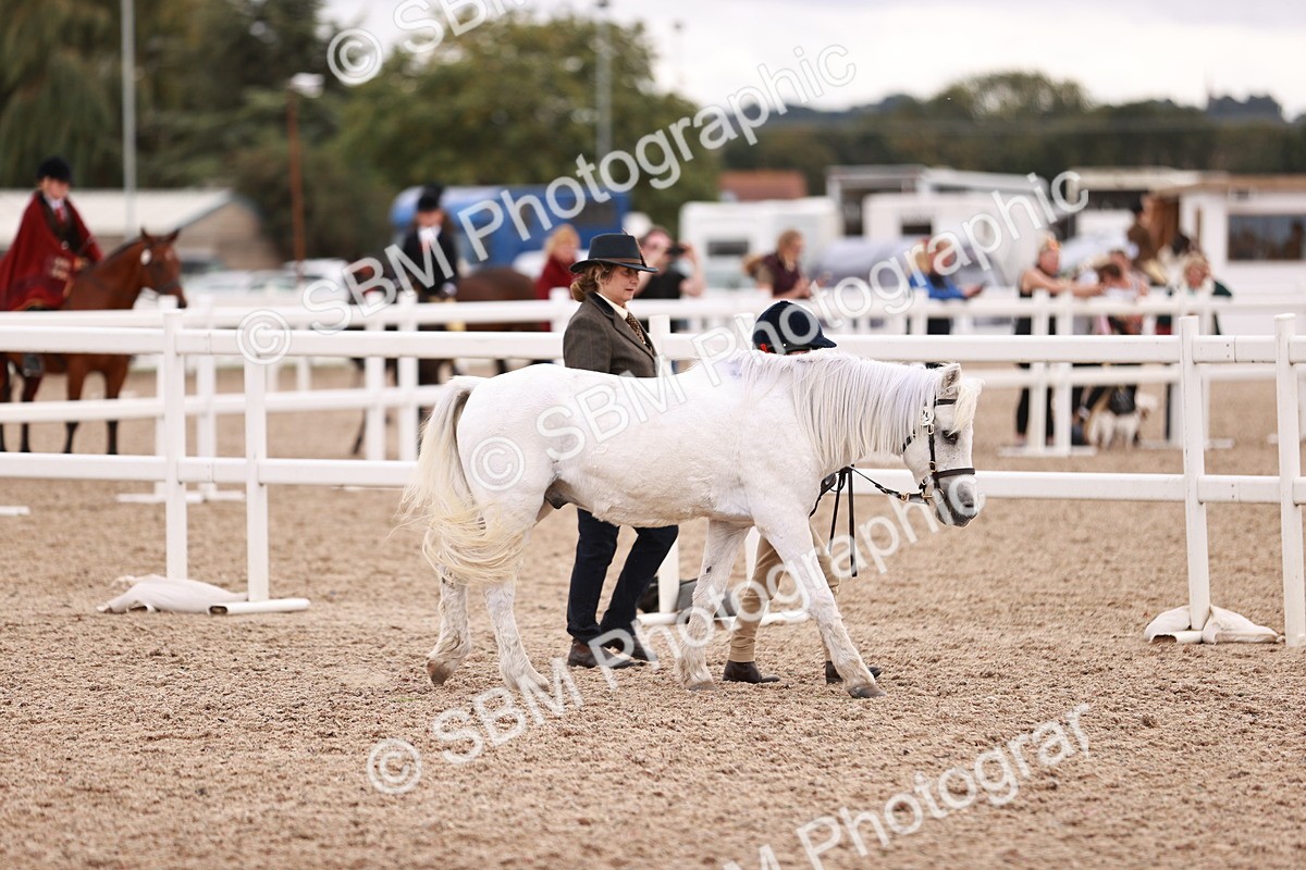 SBM_18465 - Class 420 - Ridden M&M