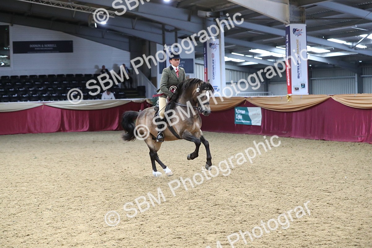 SBM_16550 - Class 502 M&M Ridden Supreme Final