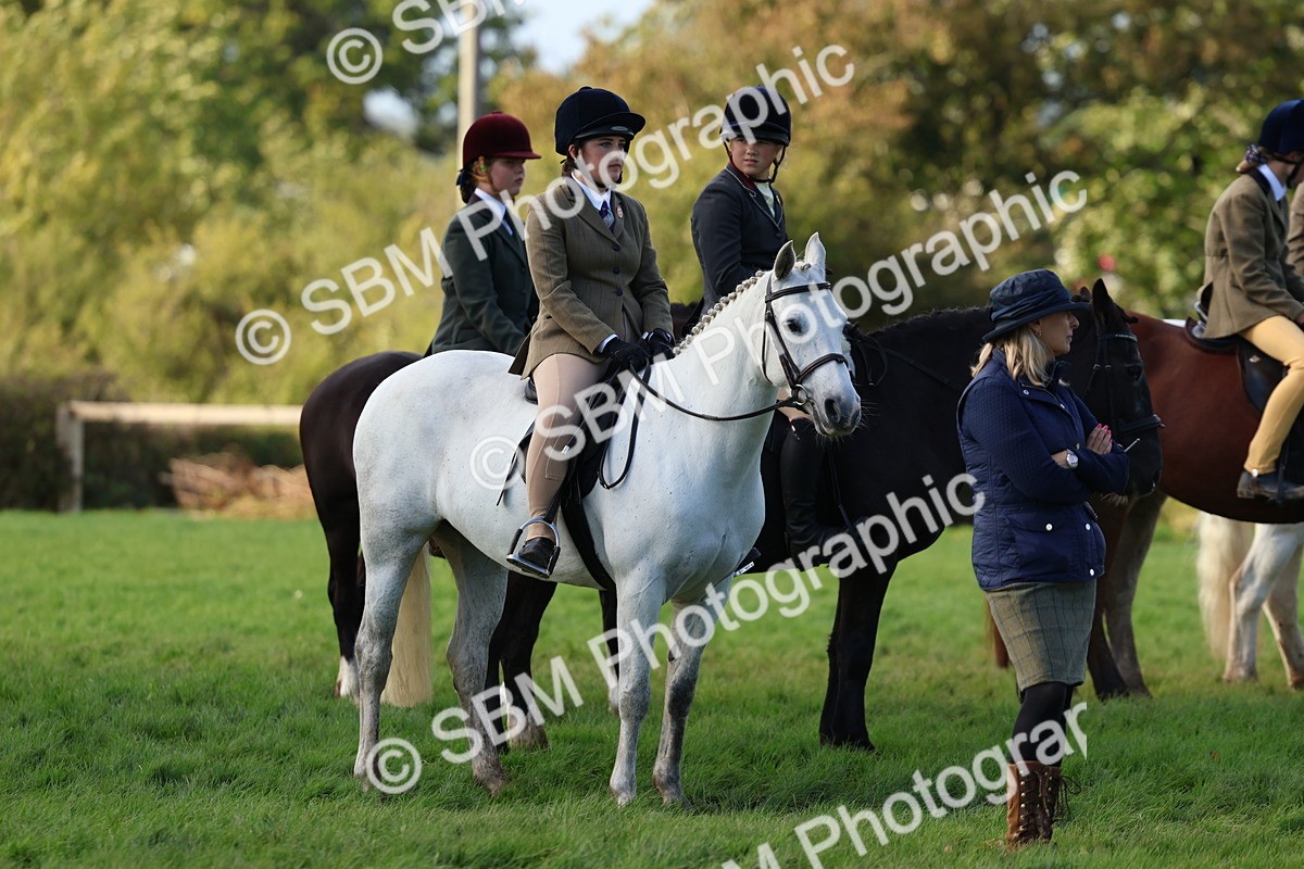 SBM_52498 - S13 - Pony Club Pony
