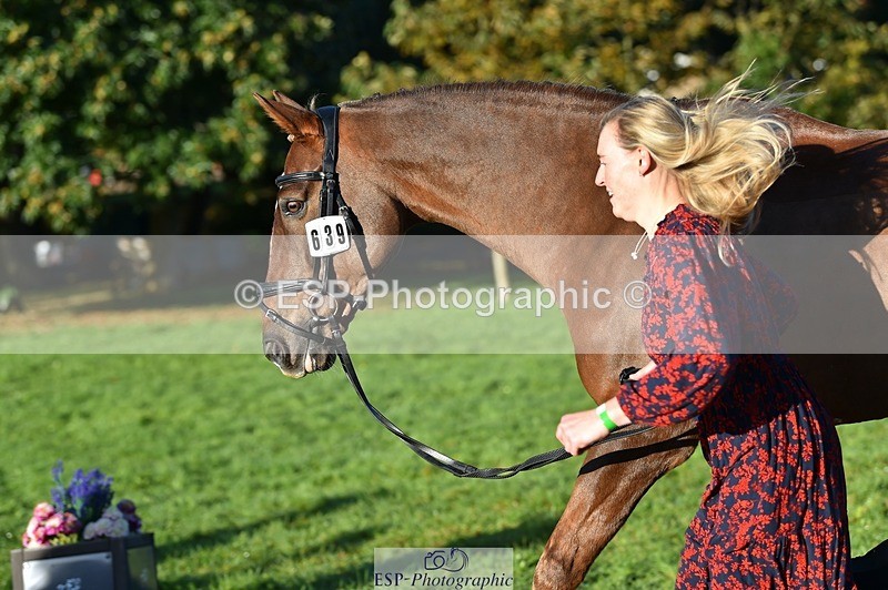 231022-092512-21775 - 639-TRAQ.TIME-Madeleine.Ellis-TrotUp+SJ