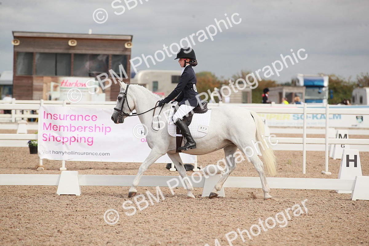 SBM_03961 - Class 31 - Prelim 1