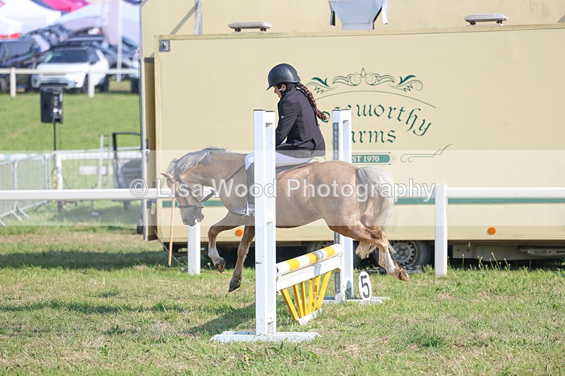 3E7A1370 - Class 1: Club 60cm Juniors and Seniors