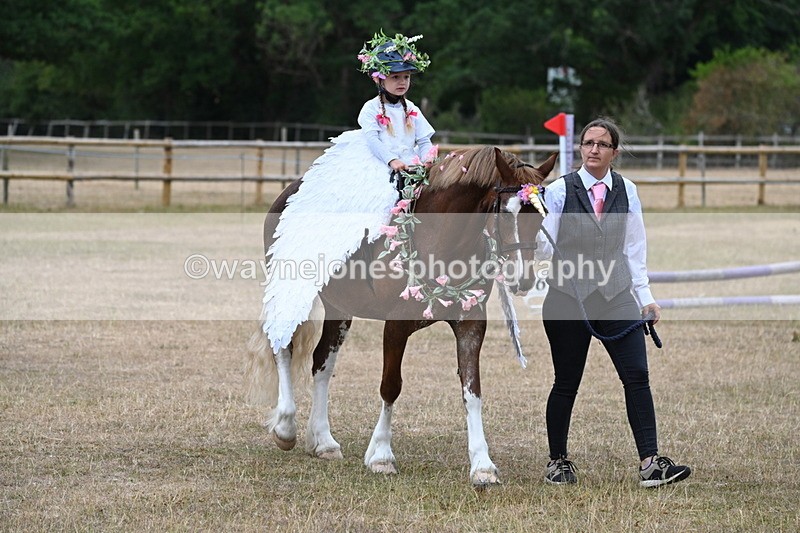 WJ6_8605 - Class 11 Fancy Dress