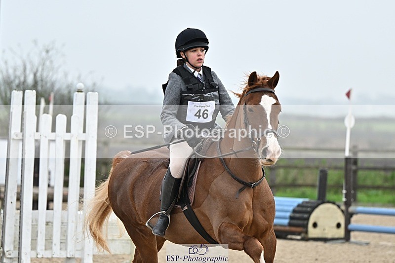 241110-100329-00175 - 40cm Showjumping