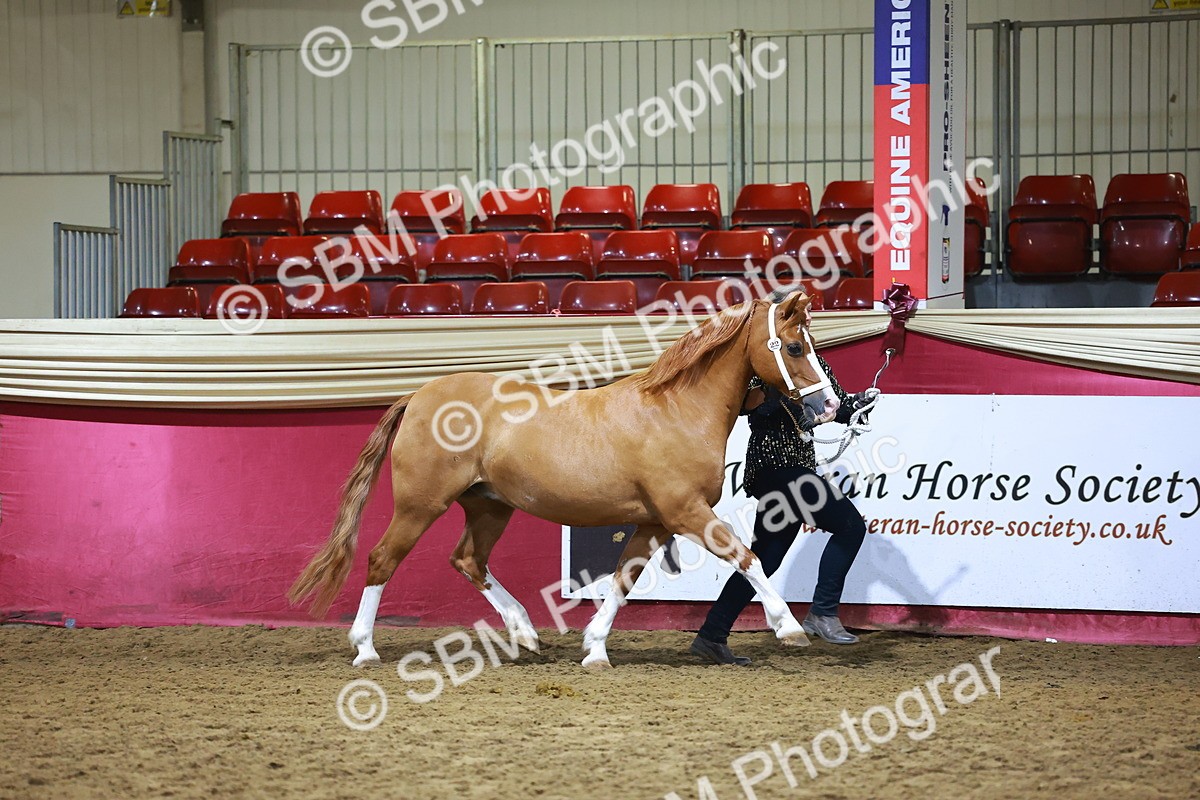 SBM_15501 - Class R - Veteran Champ