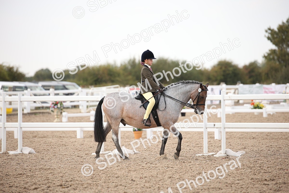 SBM_08744 - Class 12R Regional Ridden Pre-Vet