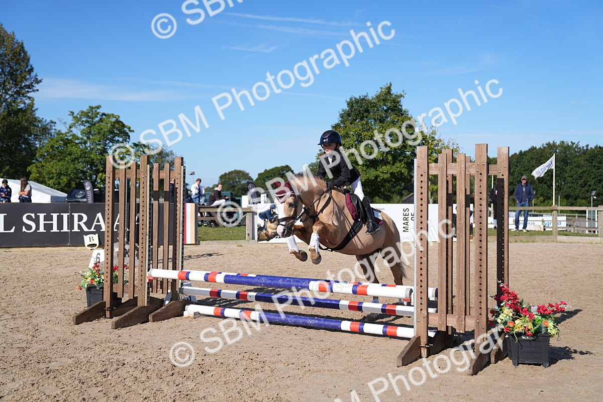 SBM_17569 - J58 - Clear Round 60cm