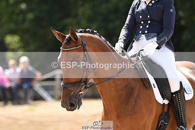 250808A-150912-01308 - 062-Sophie.DouglasPaquino.V'ant.Goovahof