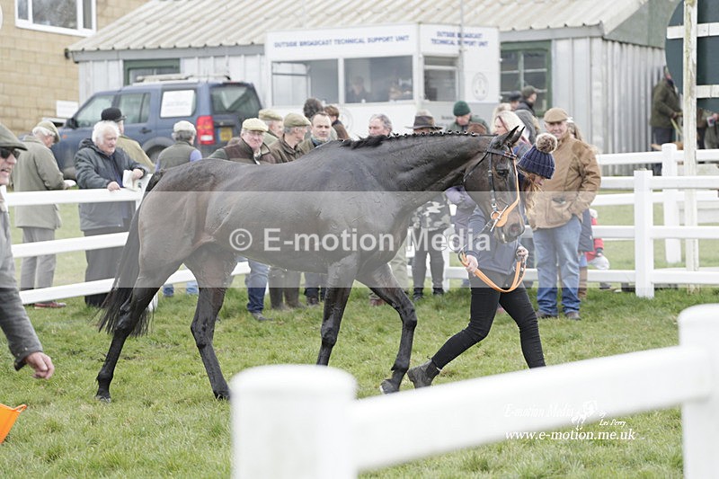 PtP 260323 0427 - New Forest Hounds Point-to-Point Larkhill 26/03/23