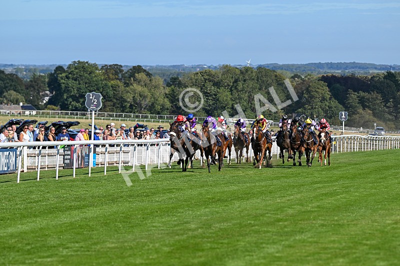 220926-Race 3-Call Me Tomorrow-3571 - Race 3 2.40pm Christmas Parties R Us Restricted Novice Stakes