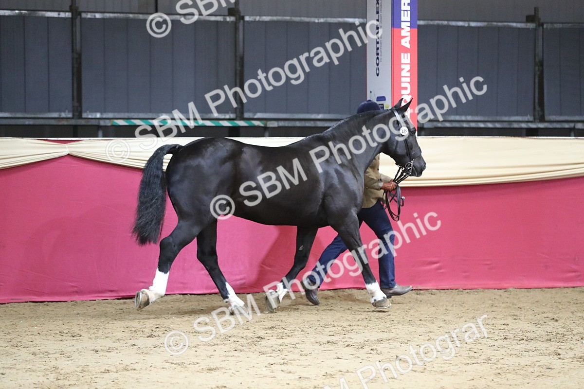SBM_06327 - Class 9R Regional- IH Pre Vet