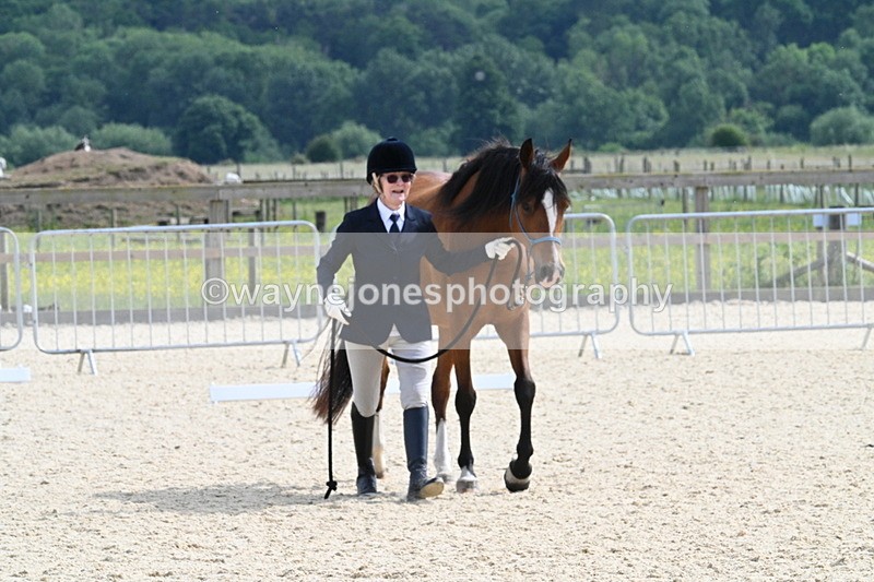 WJ7_8205 - Time 16:10 to 16:25