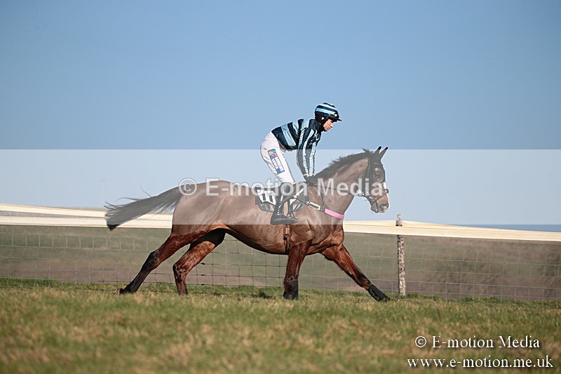 PtP 230219 403 - Vine & Craven Point-To-Point - Barbury 23/02/19