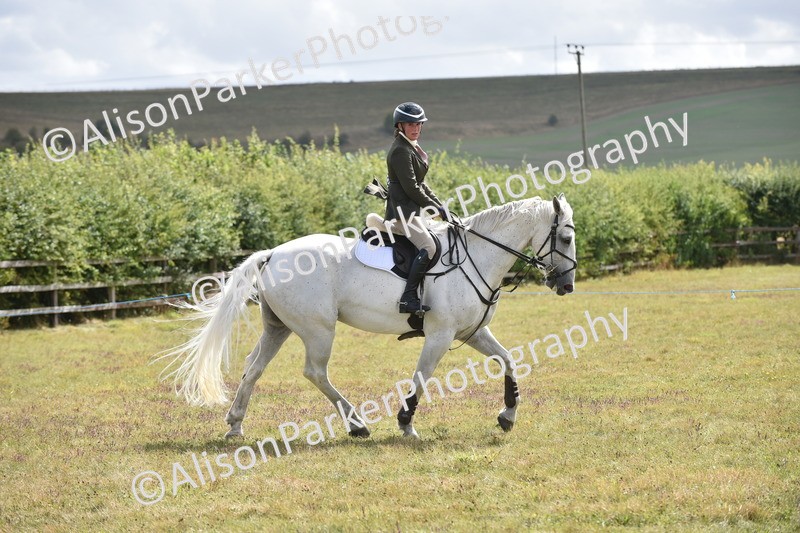 20250831-4123 - Class 13 - Working Hunter Horse or Pony
