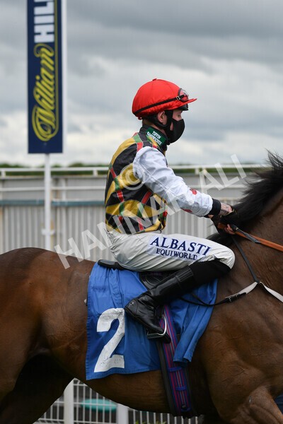 yr22052021r1-17 - Race 1 2.05pm William Hill Pick Your Places Stakes