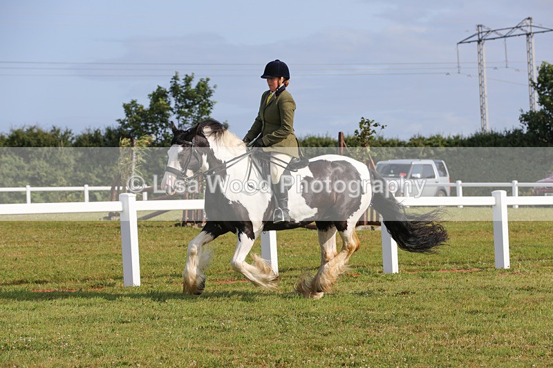 1X9A3284 - Class 28: Ridden Native/Trad Coloured Pony