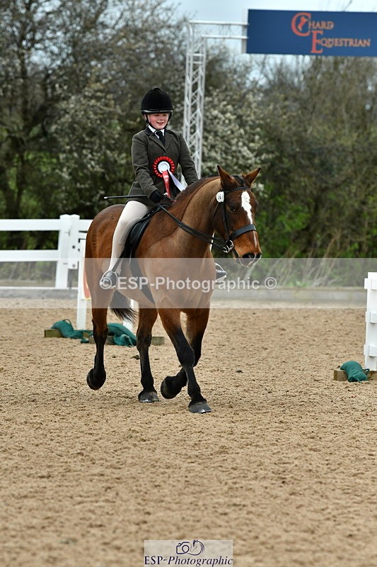 230416A-105246-03588 - Cls 58 Ridden Gelding