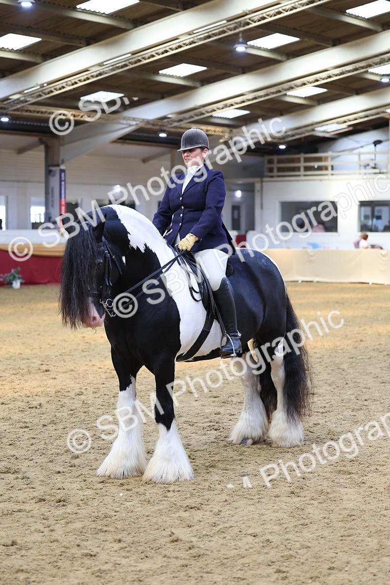 SBM_24128 - Class 905 - Supreme Final - Ridden Veteran