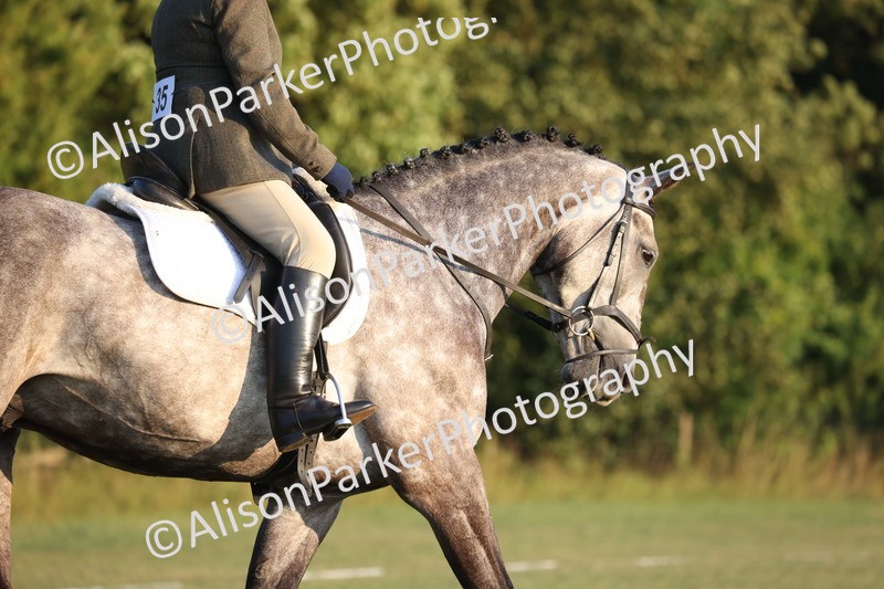 20250731-0471 - Class 3 - Novice 3