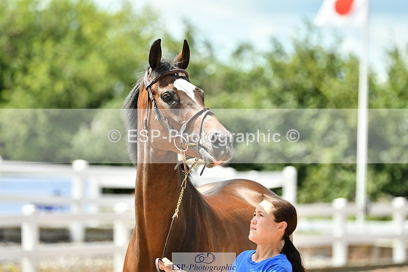 230719A-130758-00284 - Trot Up 1pm to 2pm