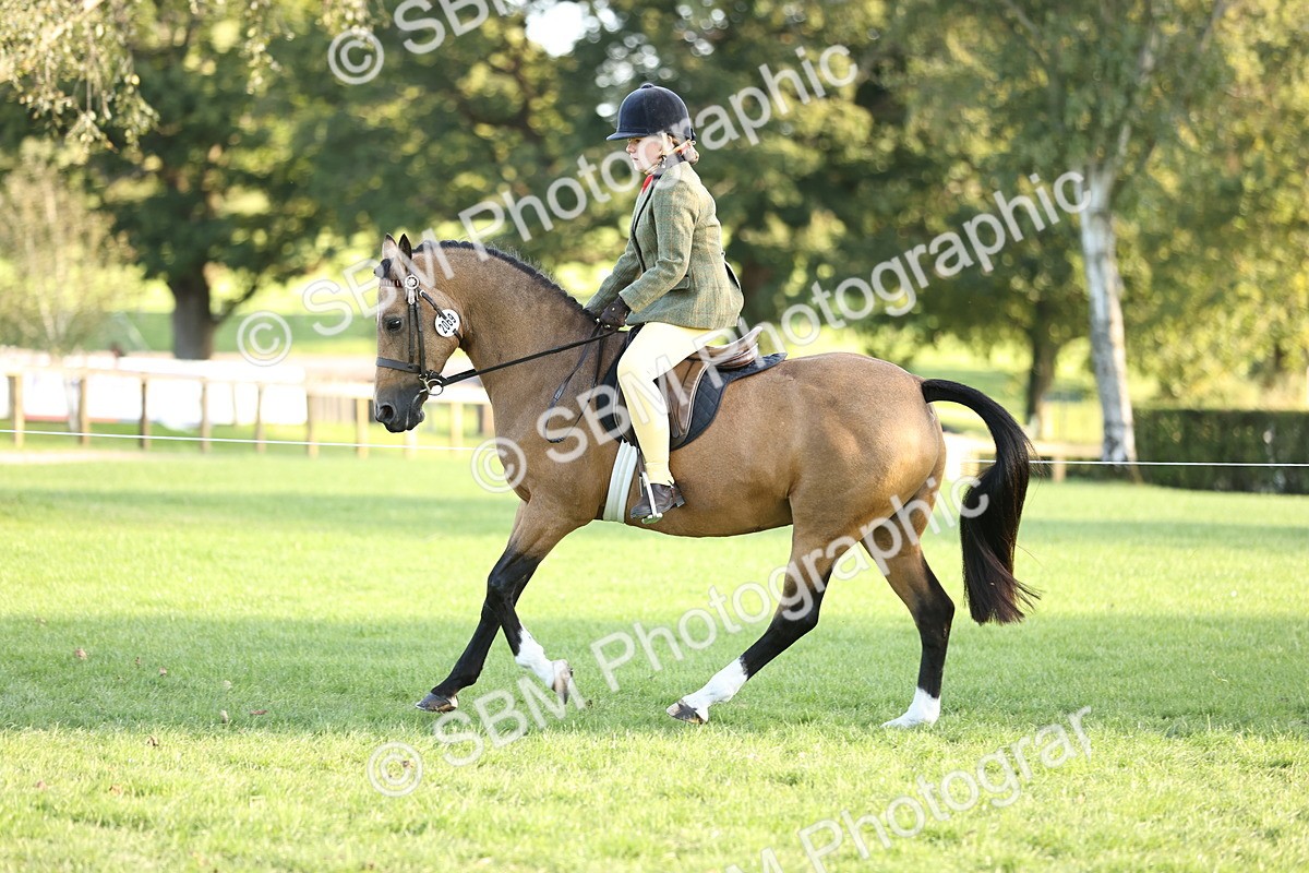 SBM_29588 - S7 - Novice & Newcomers Ridden Pony