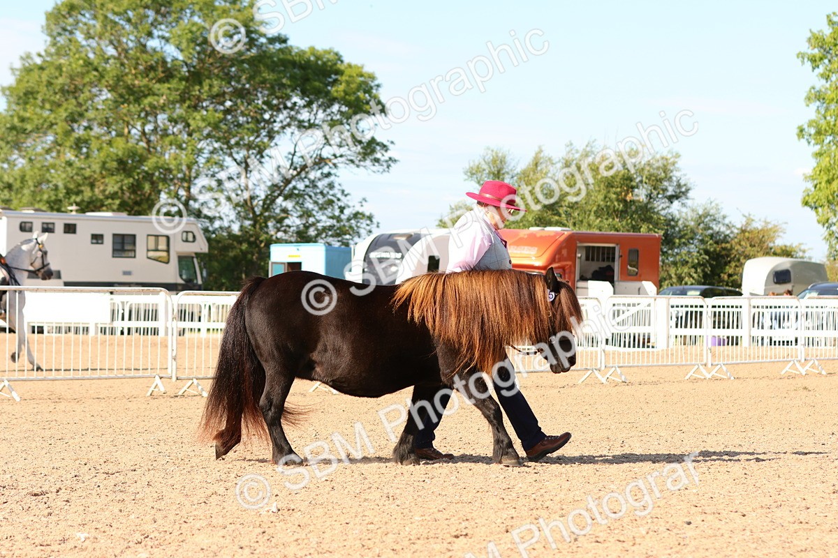 SBM_17646