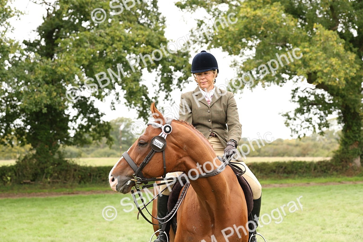 SBM_64322 - S65 - Riding Horse & Hack & Thoroughbred Ridden