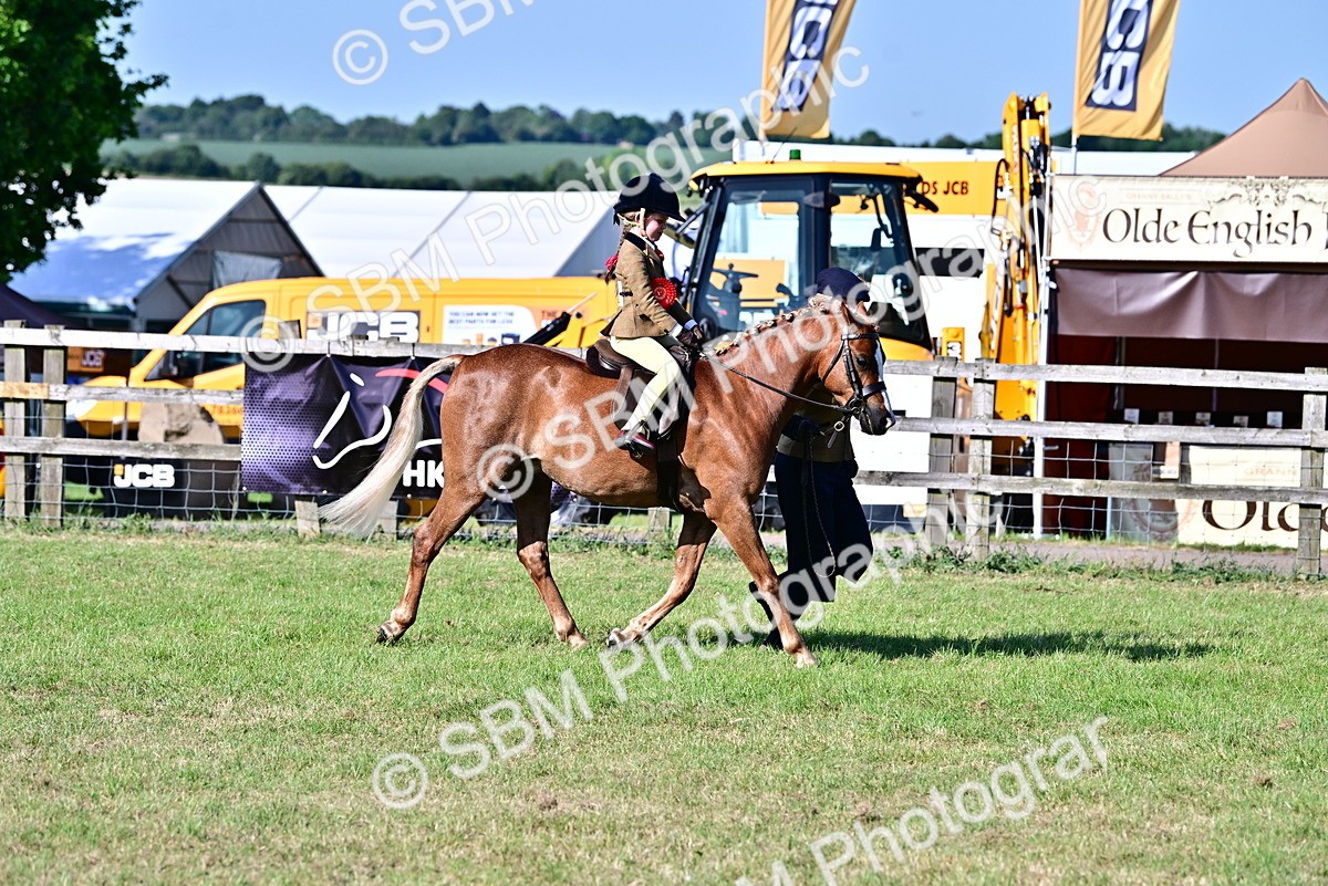 SBM_19834 - Class 103 - 105 - TSR Ridden Amateur of the Year Plaited Ponies