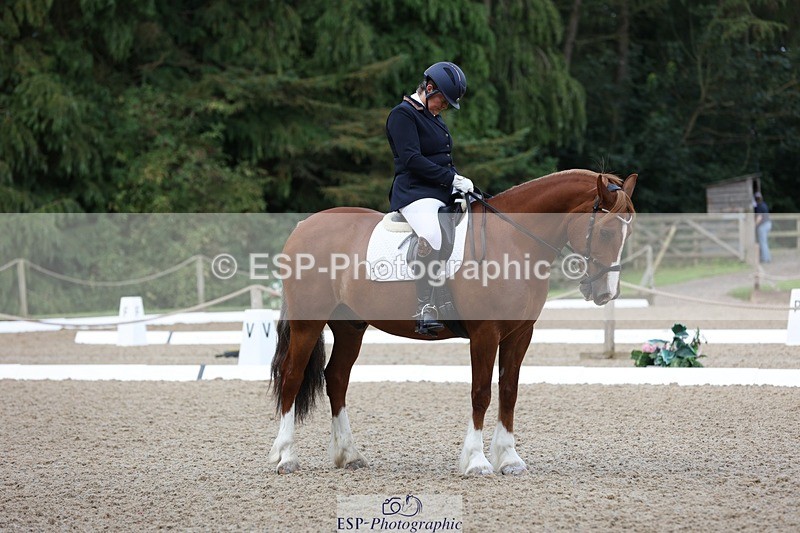 230813-094926-06145 - Cls 11 Elem Bronze Start to 10.50 break