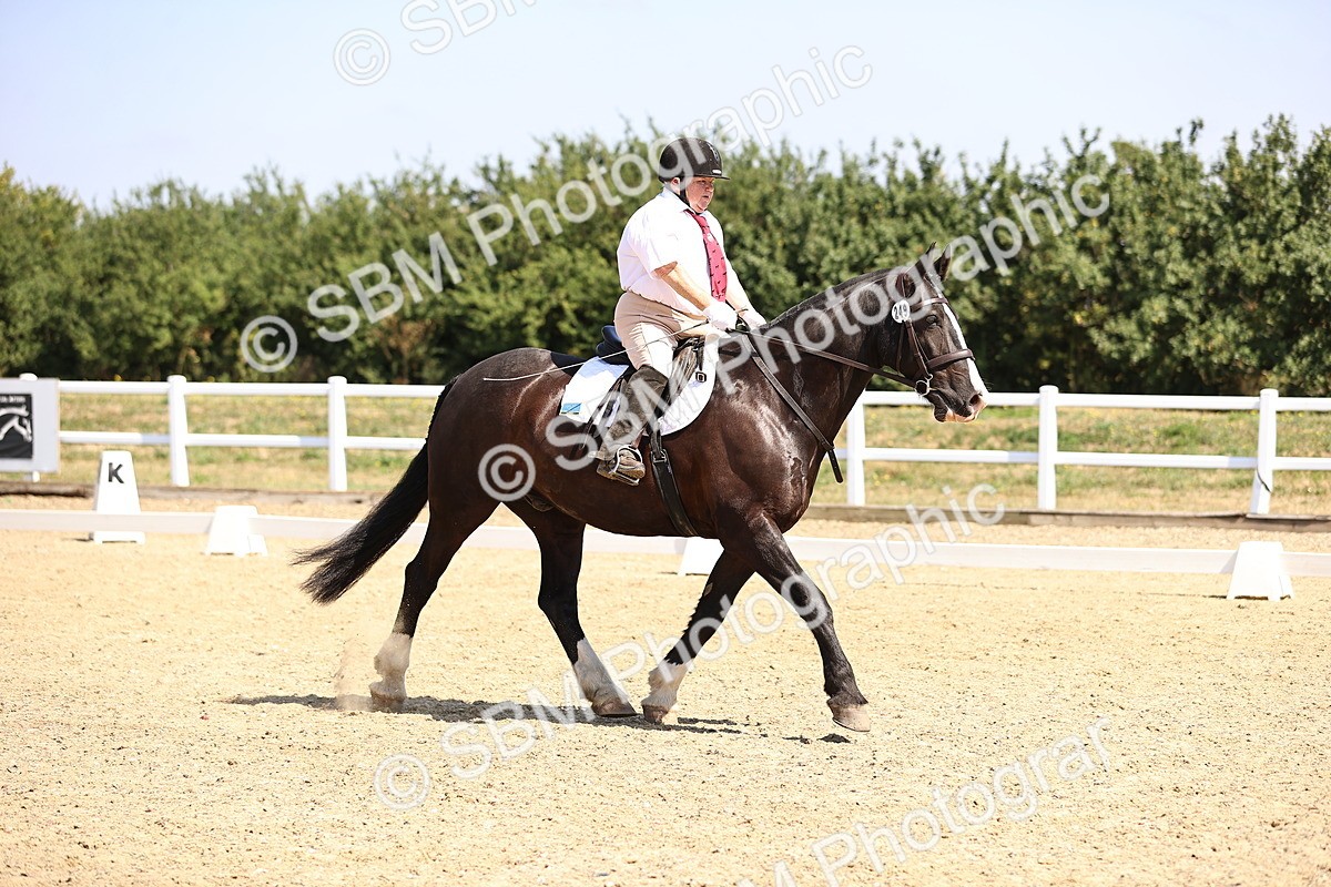 SBM_003607 - Intro 2