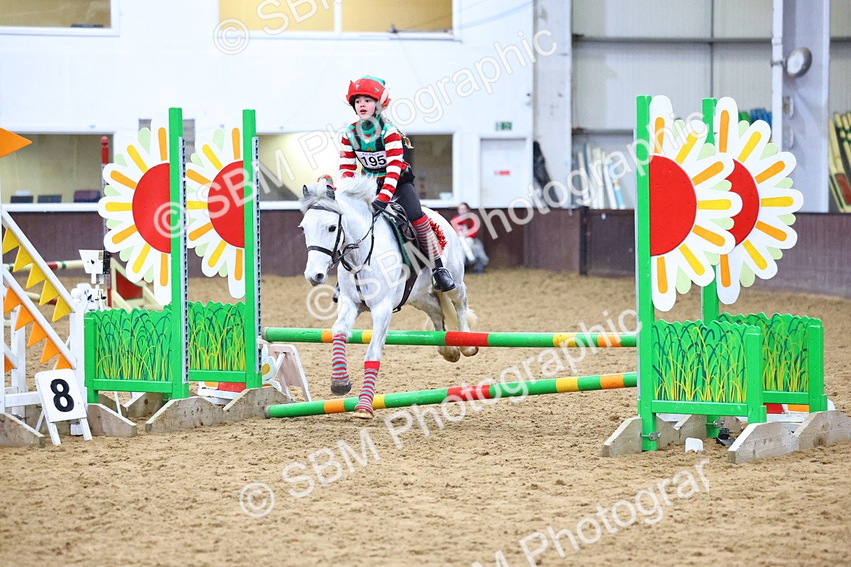 SBM_001348 - Class 3 - Christmas Tree Stakes - 60cm