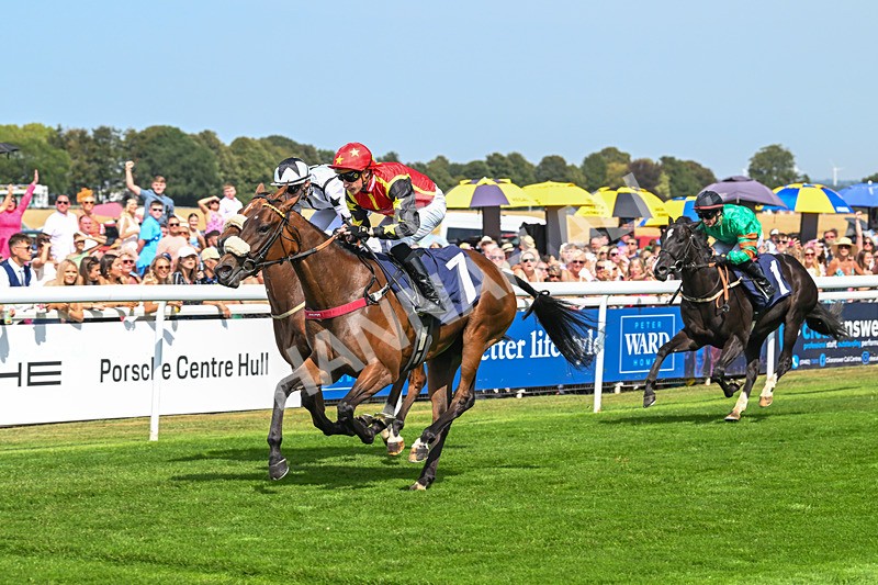 130825-Race 1-Arduis Invicta-6741 - Race 1