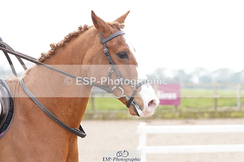 250419-132236-11042 - 652-Philippa.Skelton-BRIAN.BORU.III