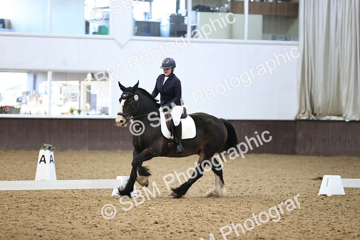 SBM_004295 - Intermediate