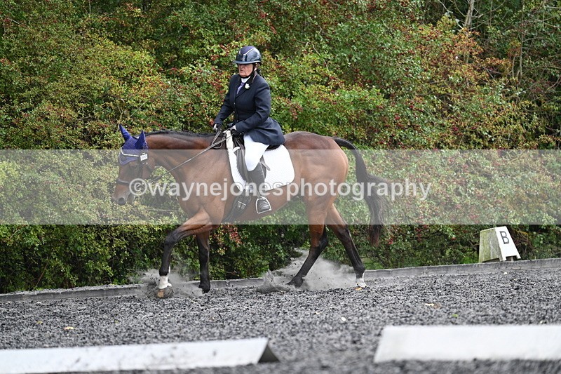 WJ7_6489 - Time 14:49 to 15:14