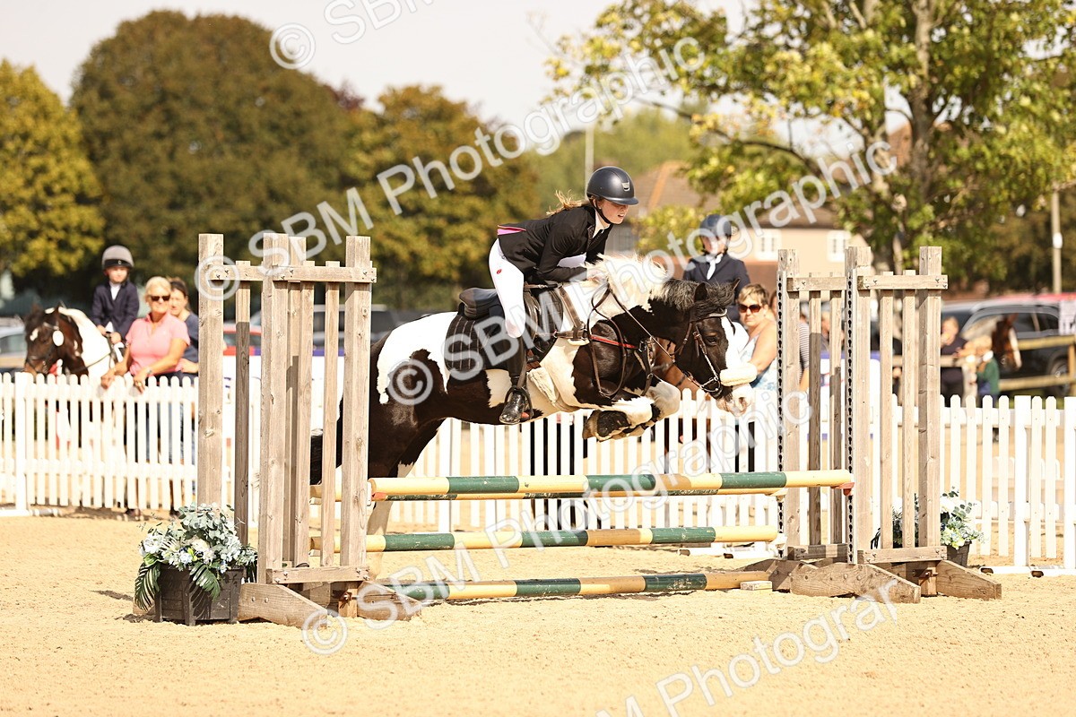 SBM_66905 - J13 - Junior Pony 60cm Championship