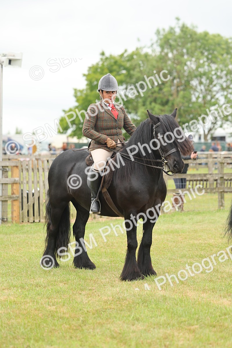 SBM_09008 - Class 78-80 - Ridden M&M Non Welsh Ponies